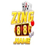 Foto del perfil de Zing88