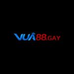 Foto del perfil de Vua88