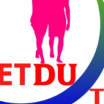 Foto del perfil de Vietdu Travel