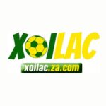 Foto del perfil de XOILAC