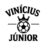 Foto del perfil de viniciusjuniorinfo