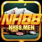 Foto del perfil de nh88men