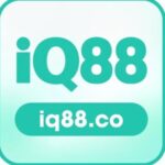 Foto del perfil de IQ88