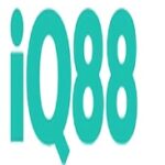 Foto del perfil de IQ88