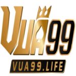 Foto del perfil de VUA99