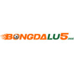 Foto del perfil de Bongdalu