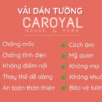 Foto del perfil de Giấy dán tường CAROYAL
