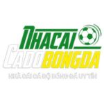 Foto del perfil de trang cá độ bóng đá