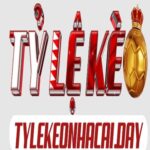 Foto del perfil de TỶ LỆ KÈO NHÀ CÁI