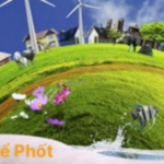 Foto del perfil de Thông bồn cầu Nam Thành