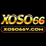 Foto del perfil de Xoso66