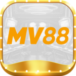 Foto del perfil de Mv88