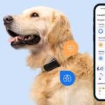 Foto del perfil de Tractive LTE GPS Tracker