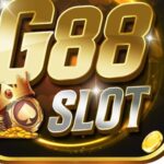 Foto del perfil de G88