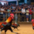 Foto del perfil de gà cam 67 đá gà trực tiếp