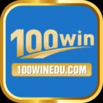 Foto del perfil de 100Win