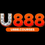 Foto del perfil de U888