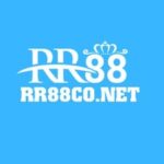 Foto del perfil de RR88