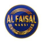 Foto del perfil de AlFaisalMandi