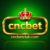 Foto del perfil de CNCBETDIRECT8