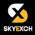 Foto del perfil de sky exchange