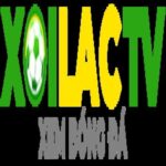 Foto del perfil de homo climbtastic.com