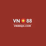 Foto del perfil de Vn88