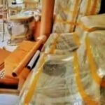 Foto del perfil de US Cargo Packers and Movers