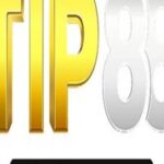 Foto del perfil de TIP88