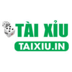 Foto del perfil de Tài Xỉu