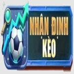 Foto del perfil de Nhandinhkeo
