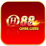 Foto del perfil de QH 88