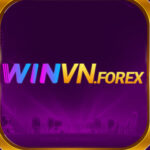Foto del perfil de WINVN – Nền Tảng Cá Cược & Đầu Tư Trực Tuyến Đa Dạng