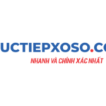 Foto del perfil de Hà Thanh Xuân