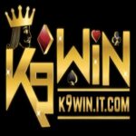 Foto del perfil de K9WIN