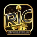 Foto del perfil de RICWIN