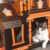 Foto del perfil de target cat scratcher near me