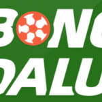 Foto del perfil de bongdalu bongdalu