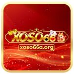 Foto del perfil de Xoso66