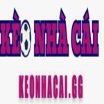Foto del perfil de Kèo Nhà Cái