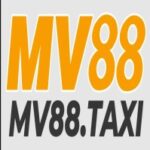 Foto del perfil de mv88taxi