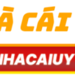 Foto del perfil de Nhà cai uy tín