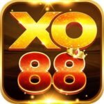 Foto del perfil de Xo88on