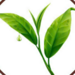 Foto del perfil de Ng.Liệu Pha Chế Hân Hân Drinks