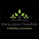 Foto del perfil de Haervejens Traepleje
