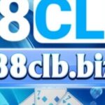 Foto del perfil de 88Clb biz