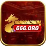 Foto del perfil de Rồng Bạch Kim 666