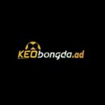 Foto del perfil de Keobongda