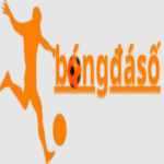 Foto del perfil de Bongdaso10 com