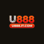 Foto del perfil de U888